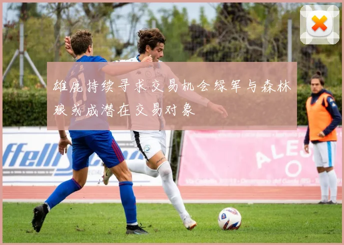 雄鹿持续寻求交易机会绿军与森林狼或成潜在交易对象